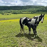 Dans Le Jura Buvilly