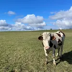 Dom wakacyjny Dans Le Jura *