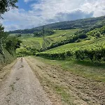 Dans Le Jura *