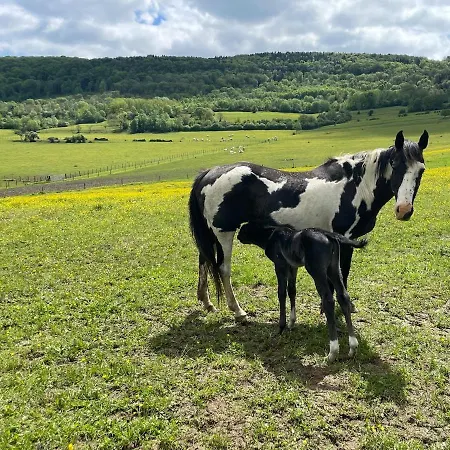 Dans Le Jura Buvilly