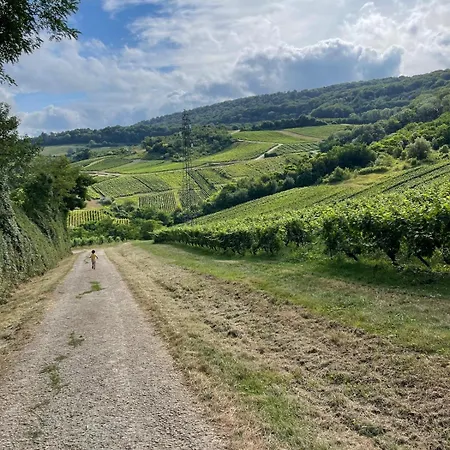 Dans Le Jura *